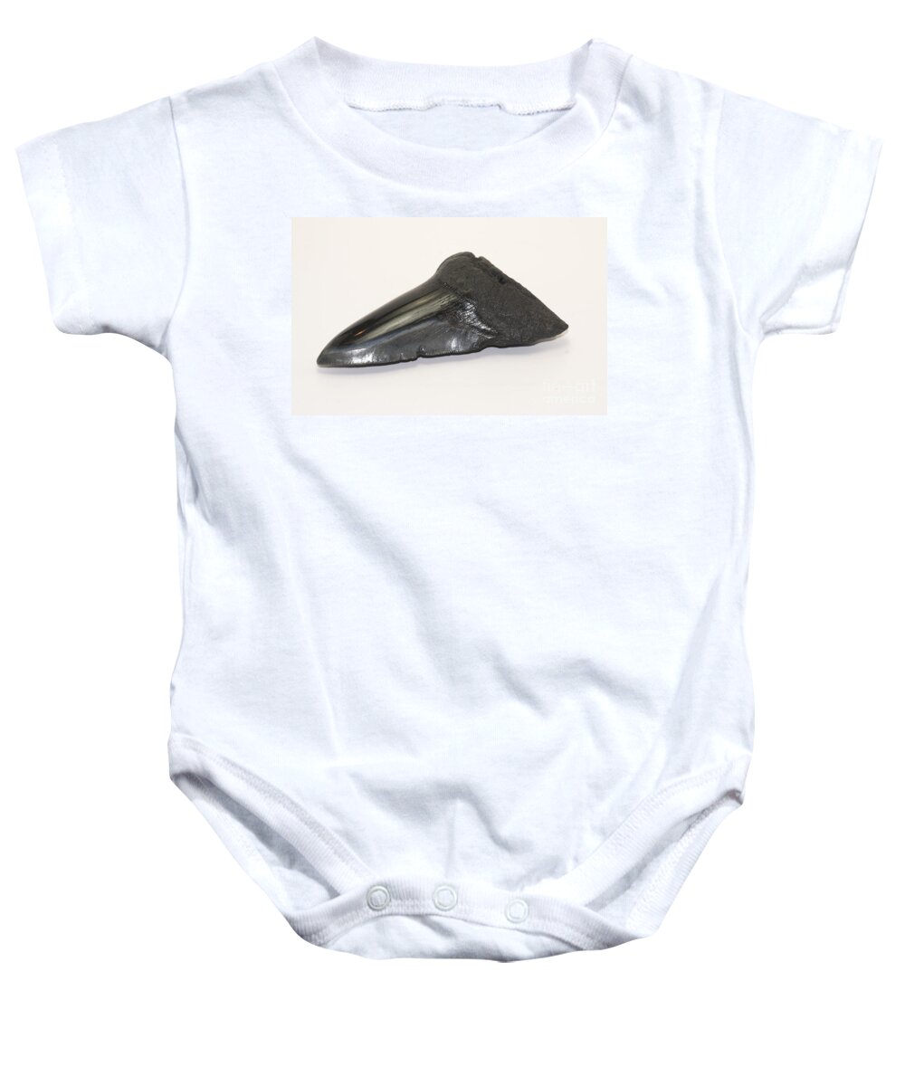 South Carolina Baby Onesie featuring the photograph Fossilized Shark Tooth by Scott Camazine