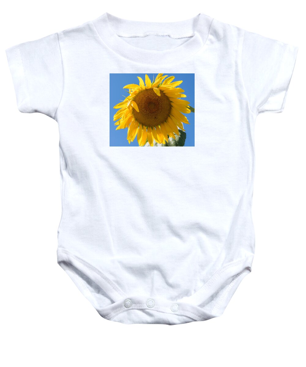 Terry D Photography Baby Onesie featuring the photograph Giant Sunflower Blue Sky by Terry DeLuco