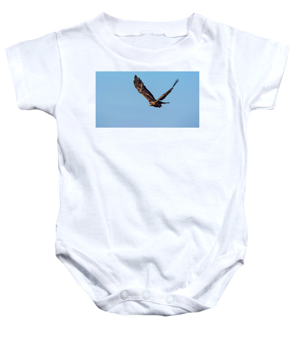 Raptor Baby Onesie featuring the photograph Golden Eagle 2 by Rick Mosher