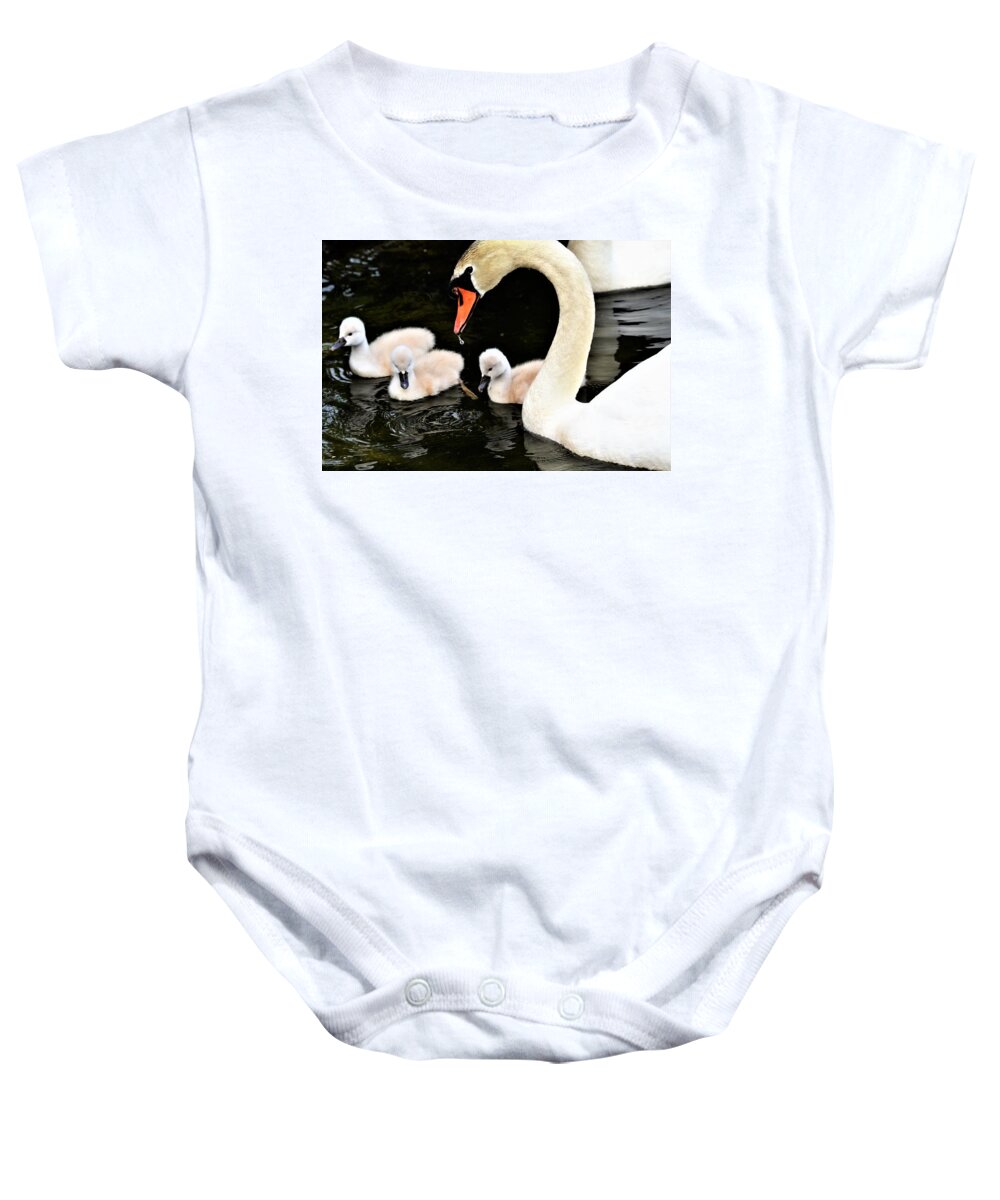 Swans Baby Onesie featuring the photograph Good parenting by Chuck Brown