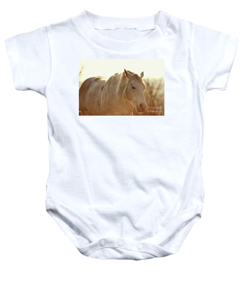Horse Baby Onesie featuring the photograph Grazing Horse by Dimitar Hristov