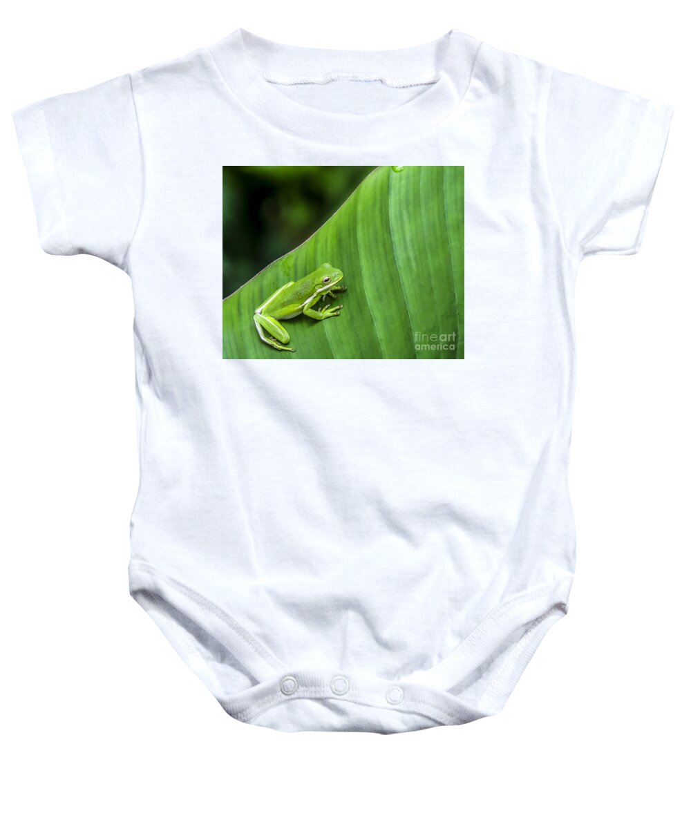 Frog Baby Onesie featuring the photograph Green Tree Frog by Ken Frischkorn