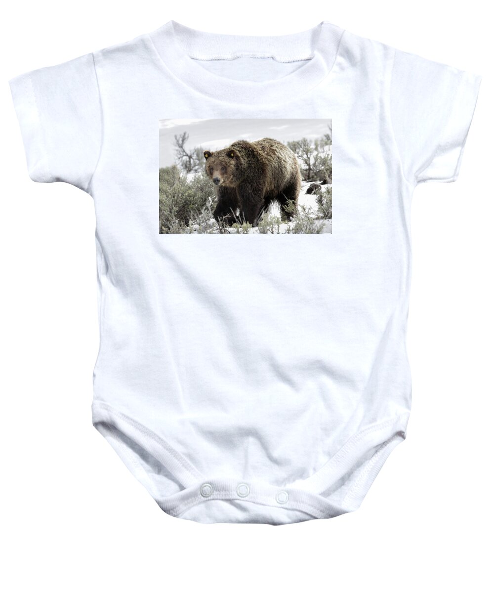 Grizzly Baby Onesie featuring the photograph Griz 610 by Ronnie And Frances Howard