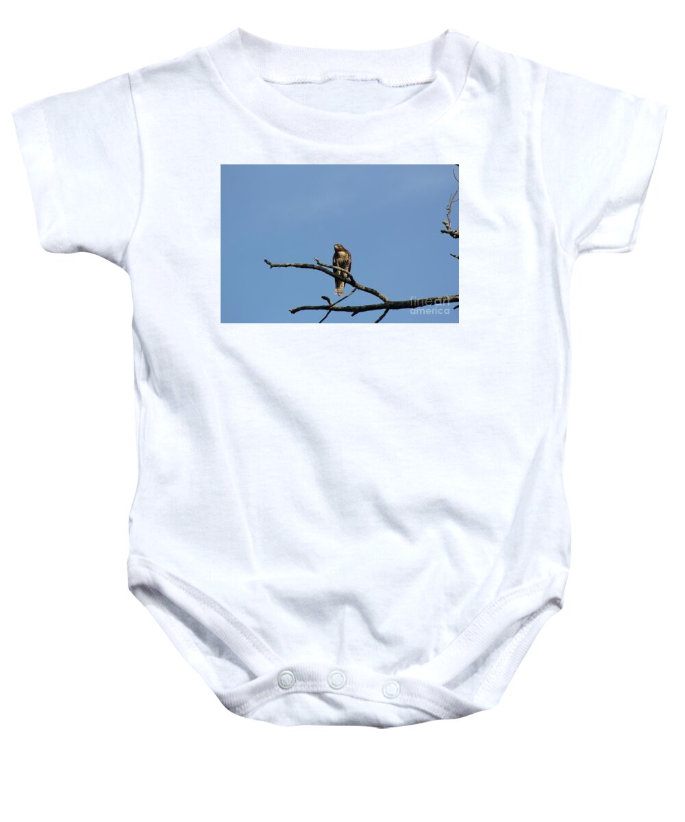 Hawk Baby Onesie featuring the photograph Hawk on Tree by Neal Eslinger
