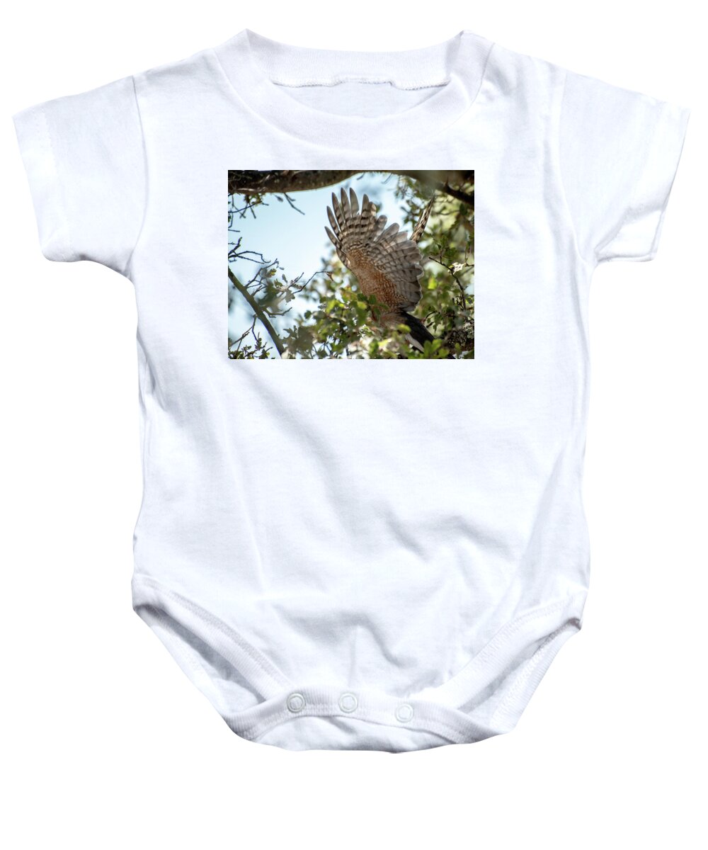  Baby Onesie featuring the photograph Hawk - The Take Off by Wendy Carrington