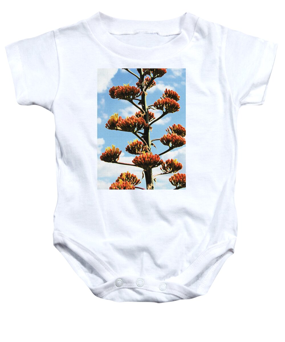 High Country Red Bud Agave Baby Onesie featuring the photograph High Country Red Bud Agave by Tom Janca