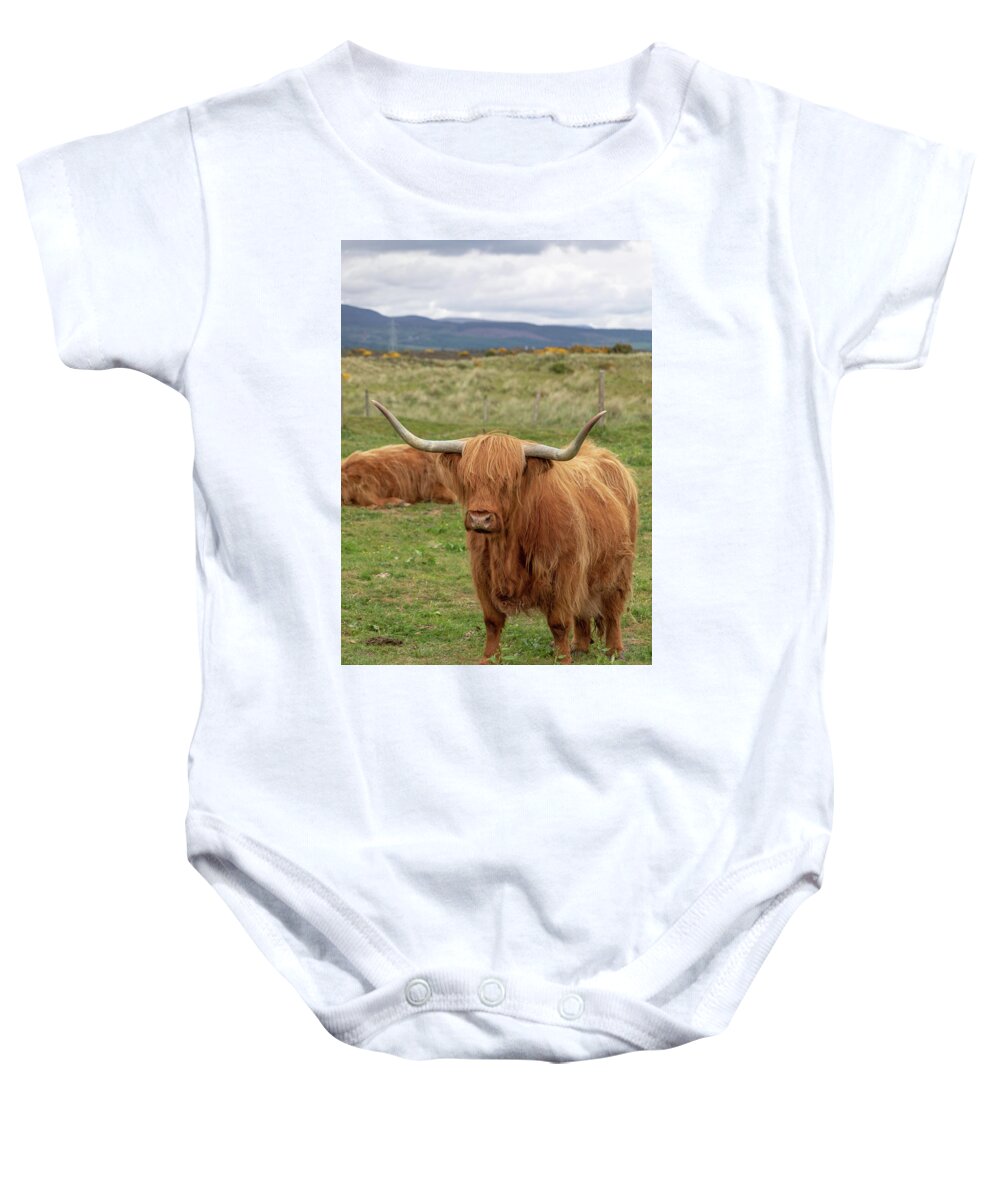 Animal Baby Onesie featuring the photograph Highland Cow 1396 by Teresa Wilson