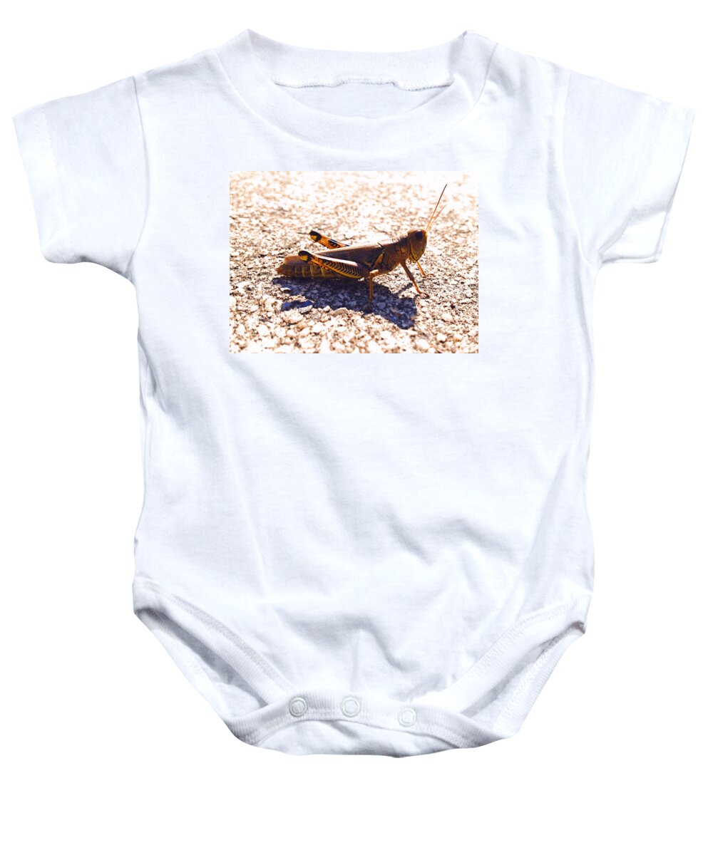 Landscape Baby Onesie featuring the photograph Hop Away you Bugging Me by Morgan Carter