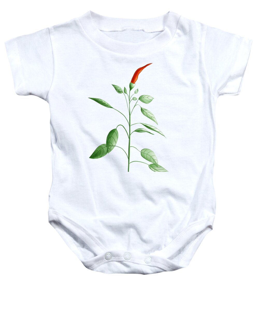 Chili Baby Onesie featuring the digital art Hot Chili Pepper Plant Botanical Illustration by Boriana Giormova