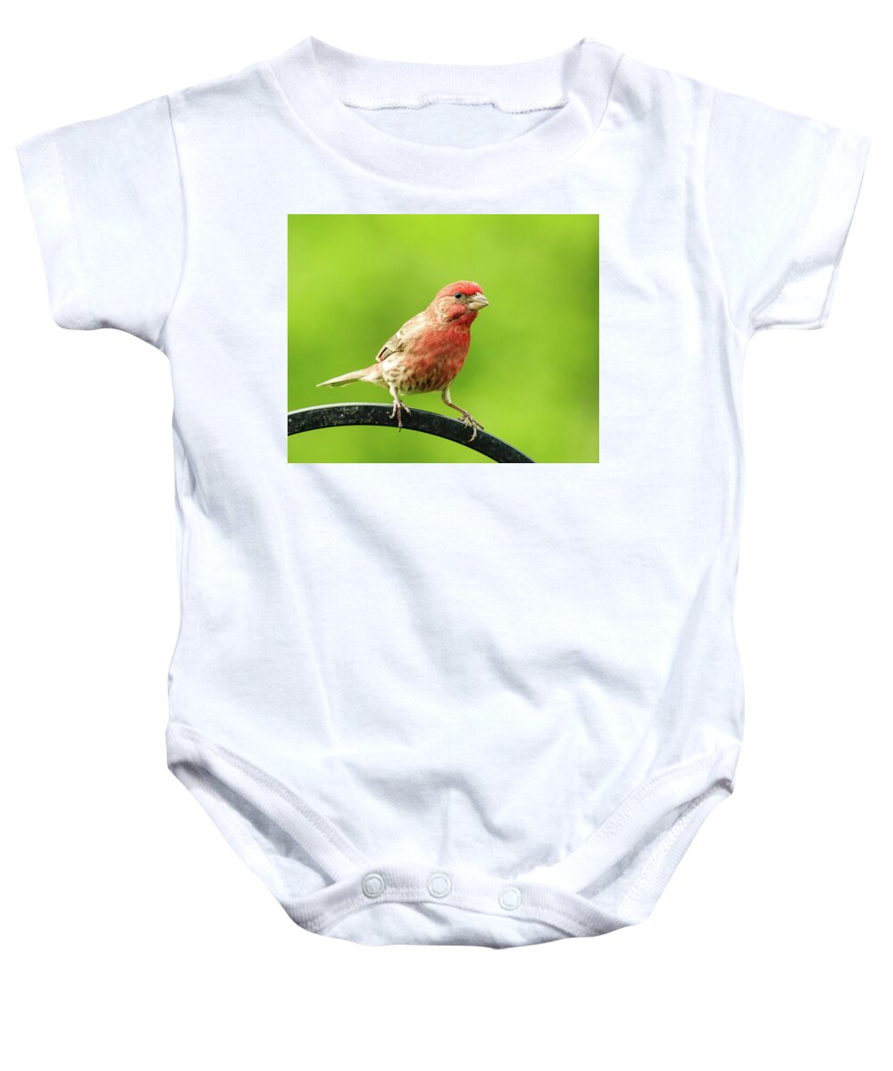 Backyard Baby Onesie featuring the photograph House Finch School Picture by Joni Eskridge