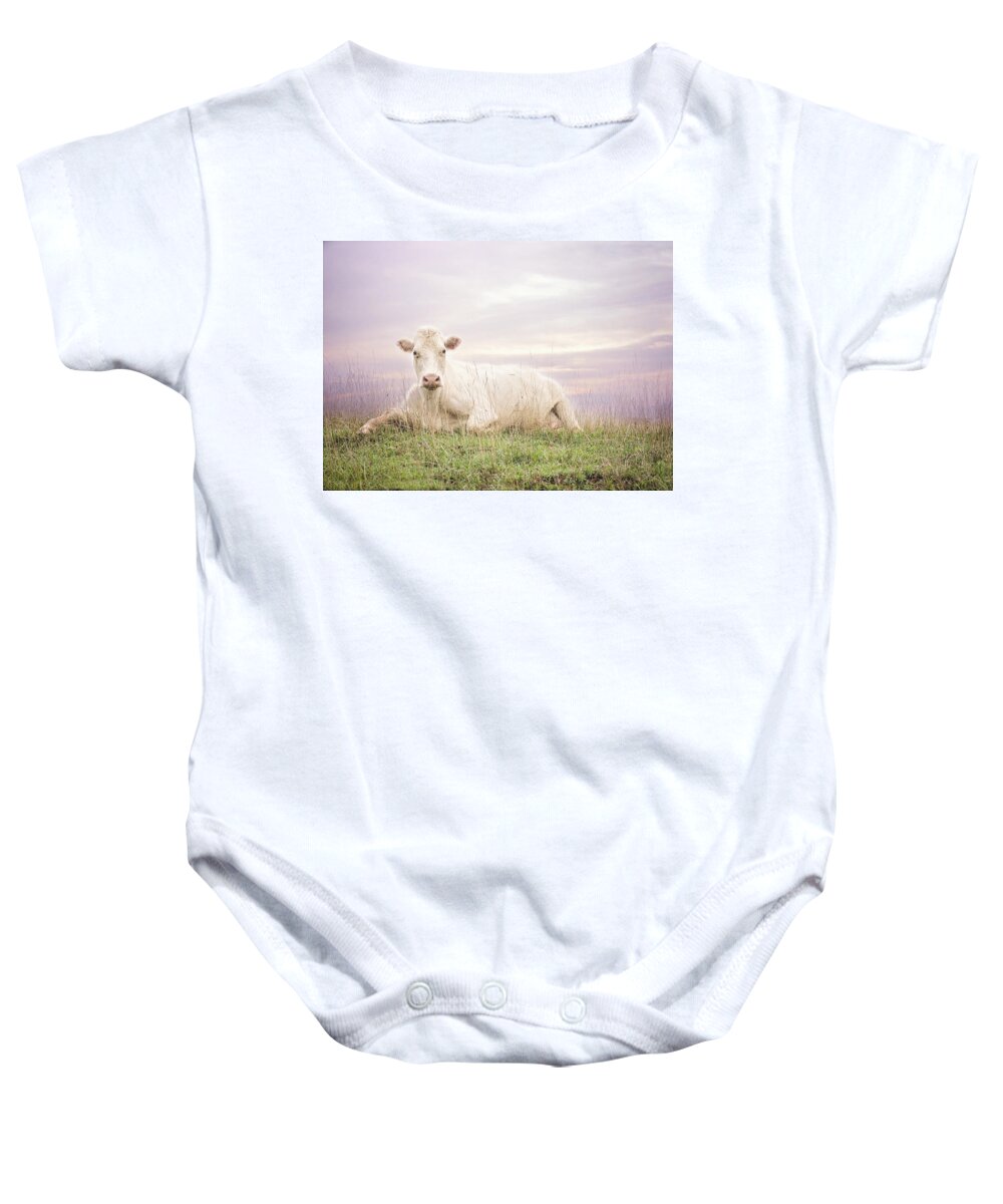 White Cow Baby Onesie featuring the photograph How Now White Cow by Heather Applegate