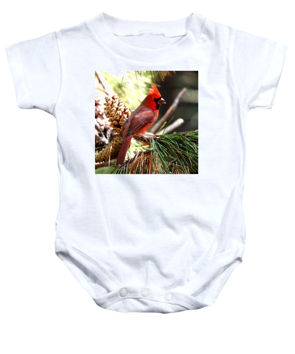  Northern Cardinal Baby Onesie featuring the photograph IMG_0519-00 - Northern Cardinal by Travis Truelove