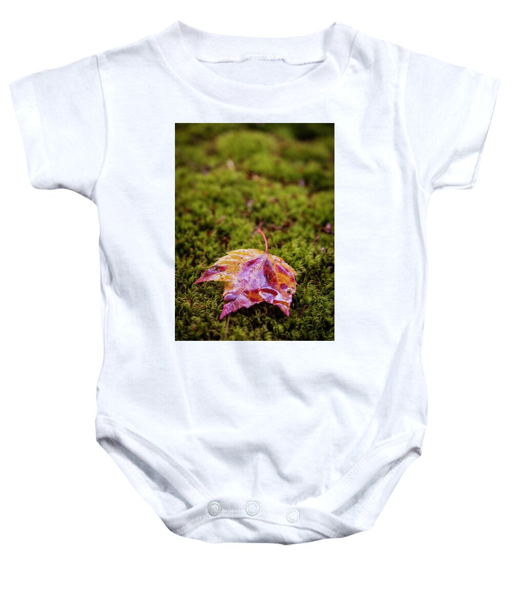 Fall Baby Onesie featuring the photograph Leaf on Moss by Benjamin Dahl