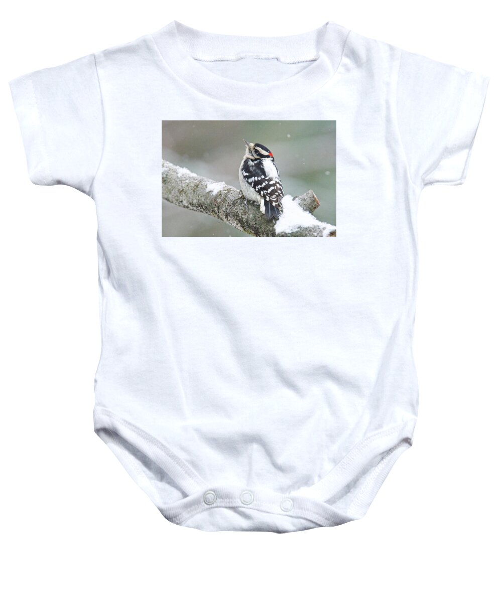 Male Baby Onesie featuring the photograph Let it Snow by Michael Peychich