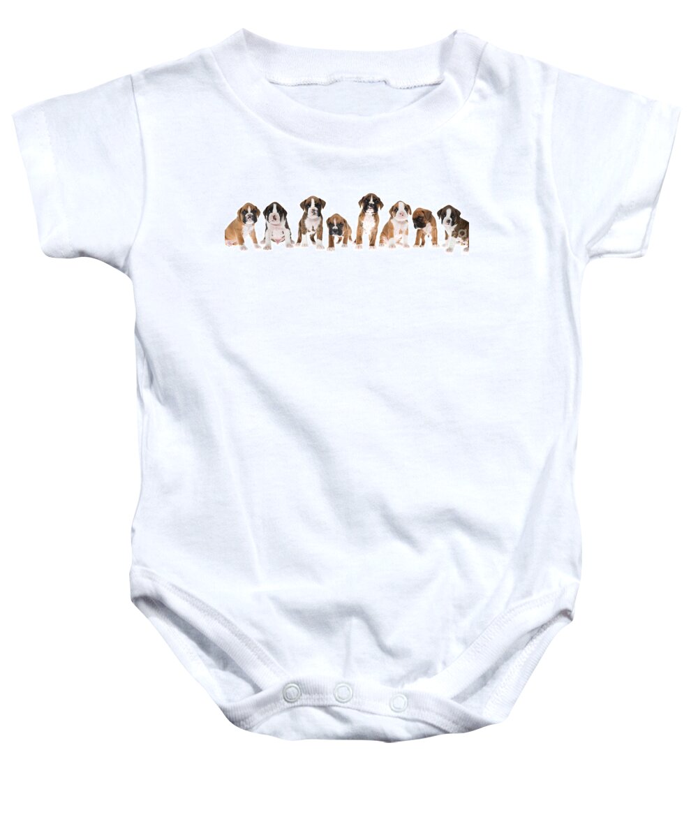 Puppies Baby Onesie featuring the photograph Litter of Boxer Puppies by Diane Diederich