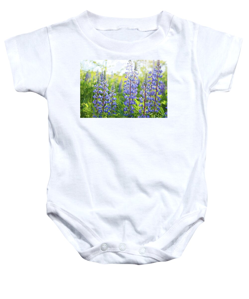 Lupines Baby Onesie featuring the photograph Lupines by Holly Ross