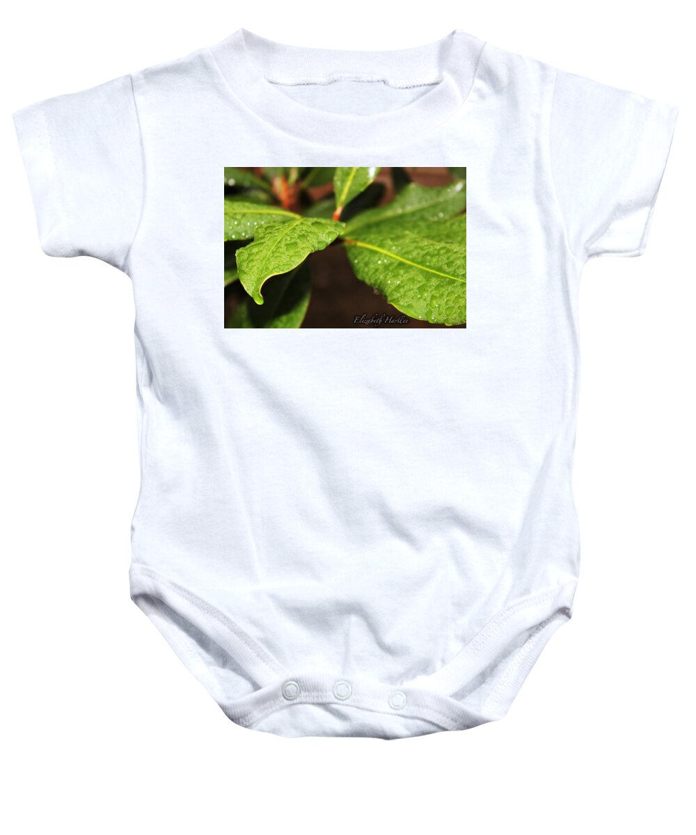  Baby Onesie featuring the photograph Magnolia Dew by Elizabeth Harllee