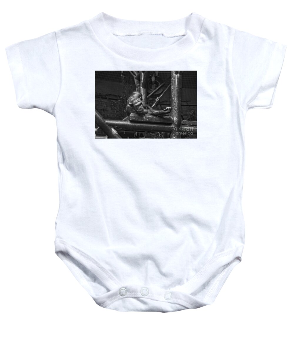 Maned Monkey Baby Onesie featuring the photograph Mighty Joe Young by Doc Braham