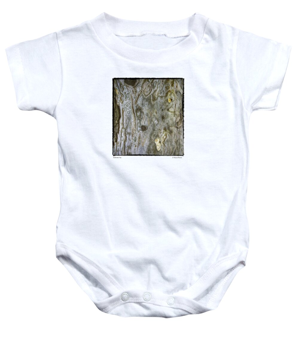 Tree Baby Onesie featuring the photograph Millbrook Tree by R Thomas Berner