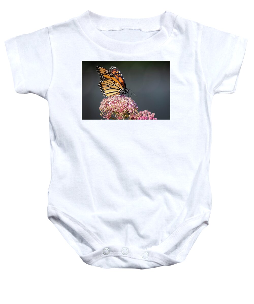 Monarch Butterfly Baby Onesie featuring the photograph Monarch 2018-6 by Thomas Young