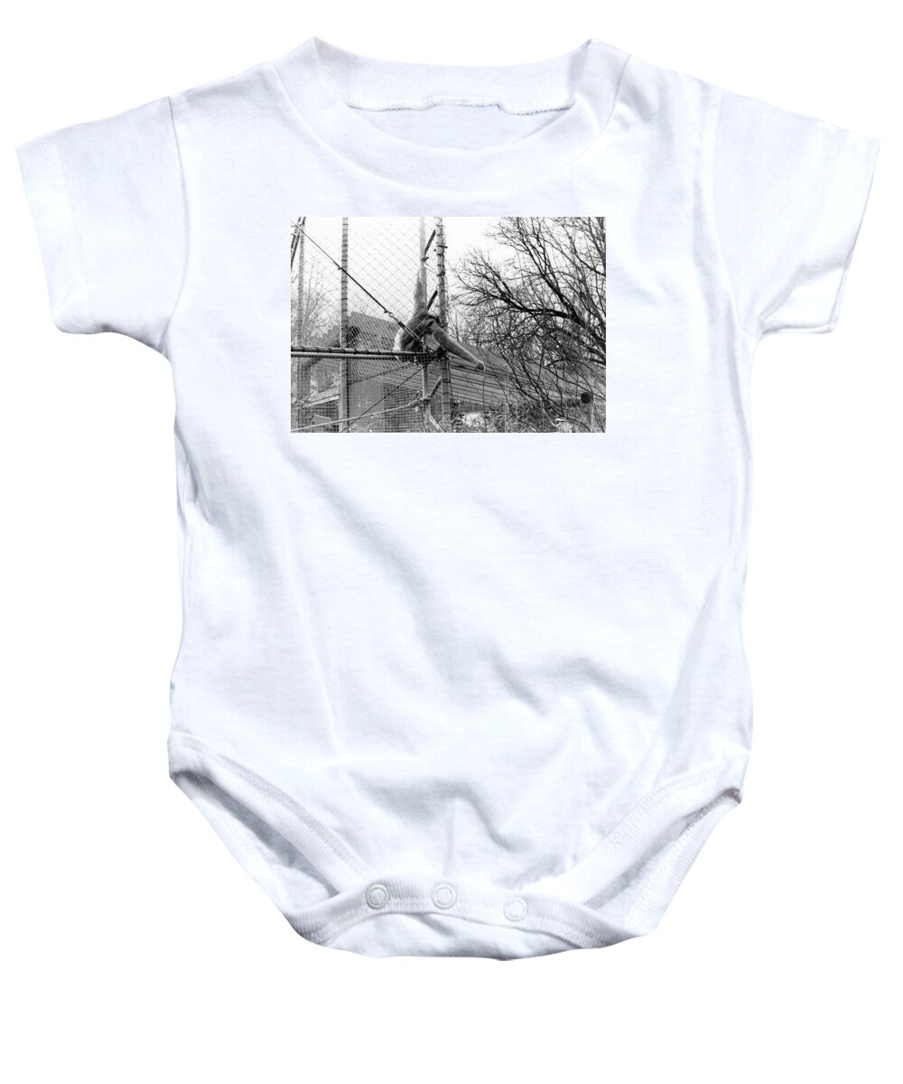 Monkey Baby Onesie featuring the photograph Monkey Grab by Joseph Caban