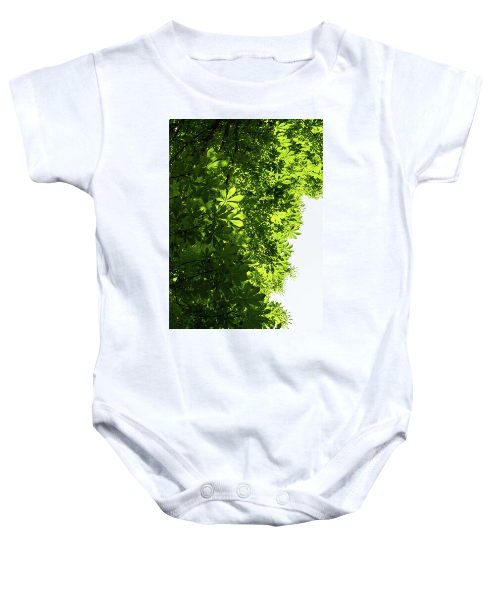 Georgia Mizuleva Baby Onesie featuring the photograph More Than Fifty Shades Of Green - Sunlit Chestnut Leaves Patterns - Vertical Left Two by Georgia Mizuleva