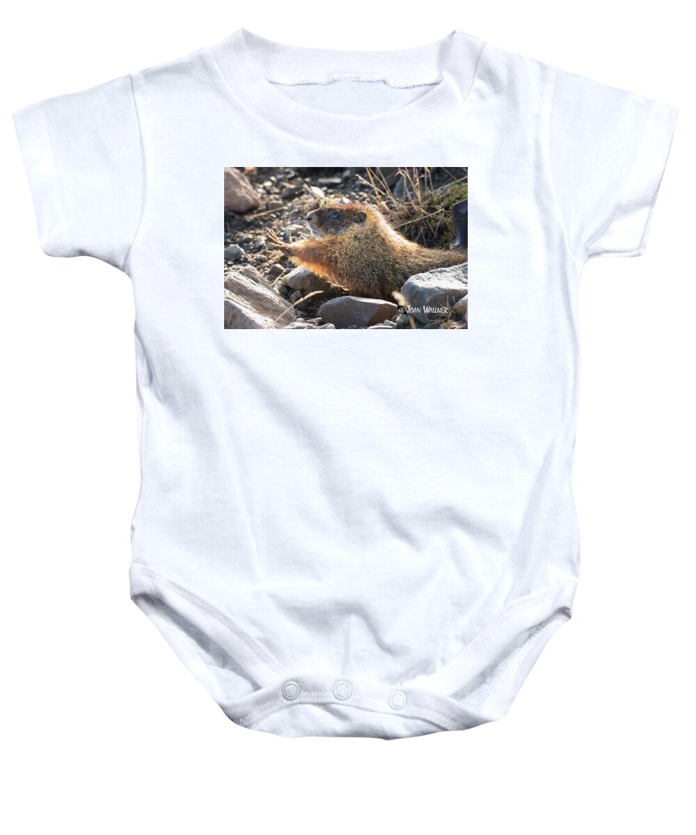Mount Washburn Baby Onesie featuring the photograph Morning Stretch by Joan Wallner
