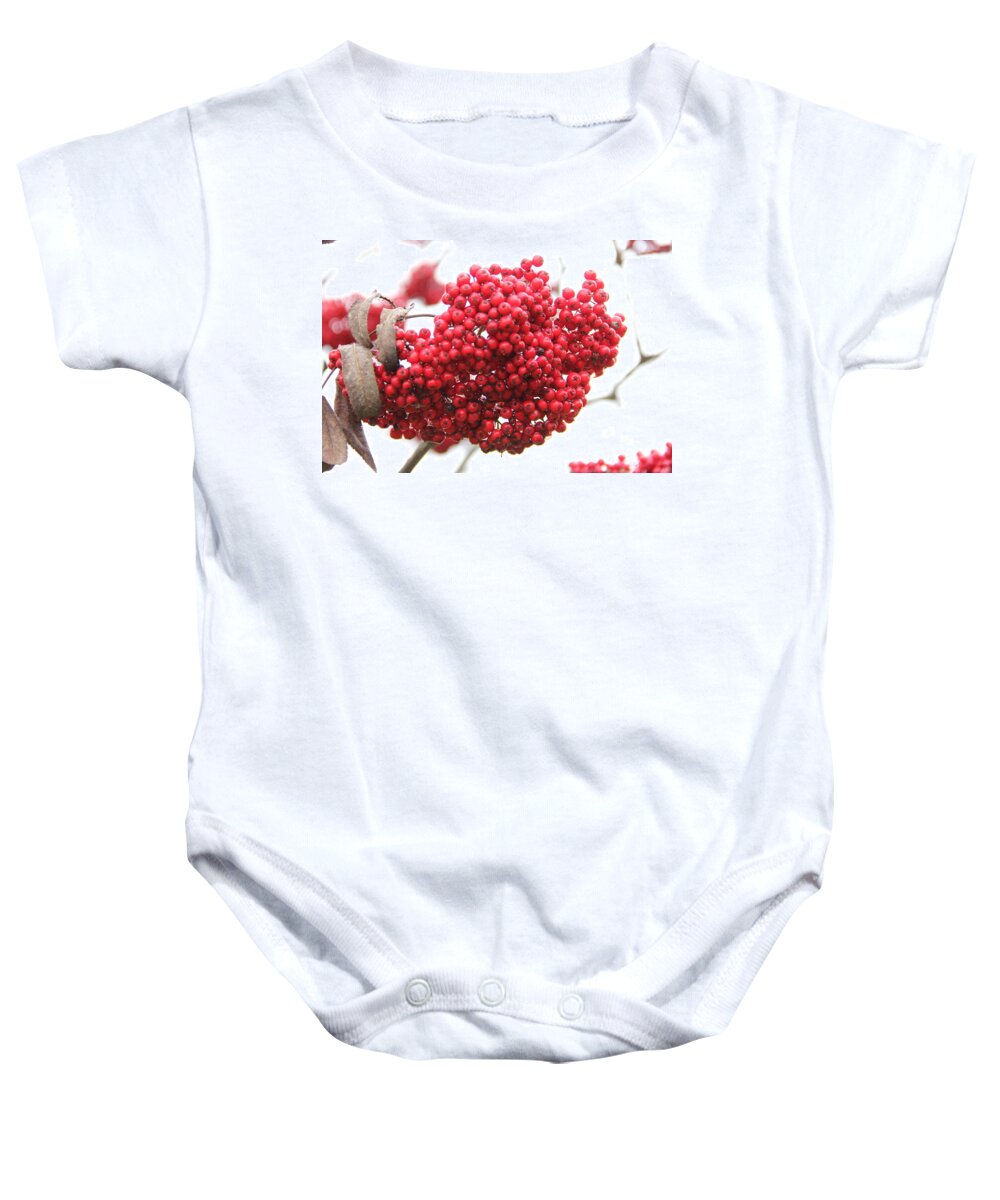 Mountain Ash Baby Onesie featuring the photograph Mountain Ash Berries by Allen Nice-Webb