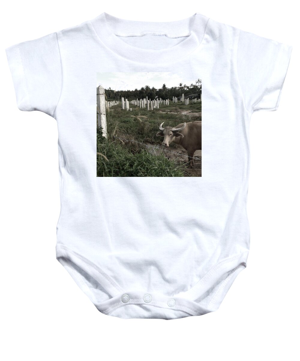 Deforestation Baby Onesie featuring the photograph Mourning in the Palm-Tree Graveyard by Steven Robiner