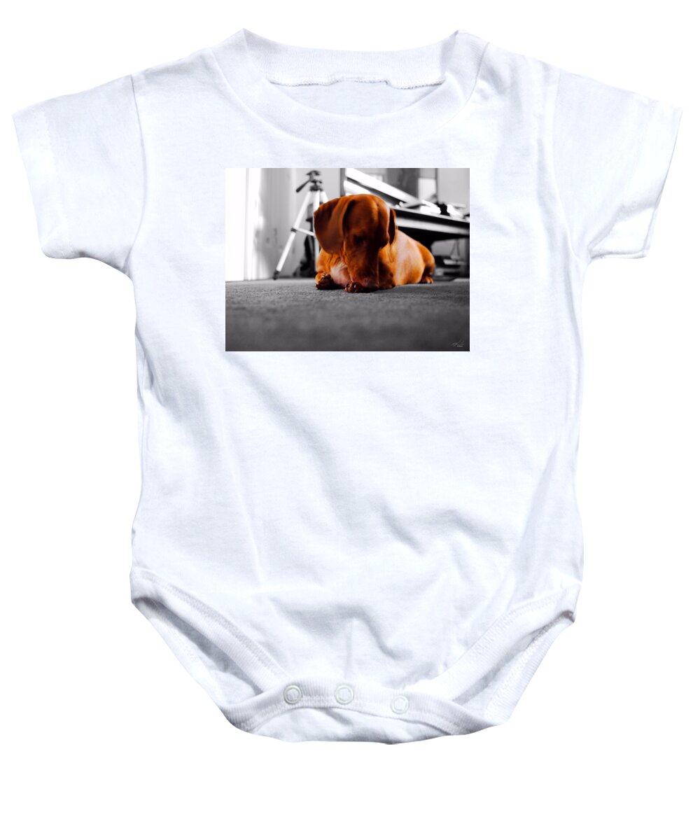 Portrait Baby Onesie featuring the photograph Mr Fritz biting by Michael Blaine