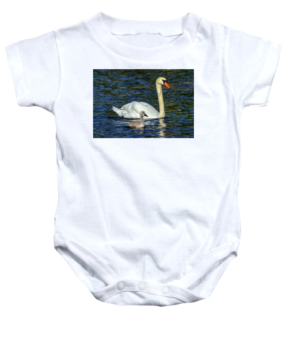 Swan Baby Onesie featuring the photograph Mute swan, cygnus olor, mother and baby by Elenarts - Elena Duvernay photo