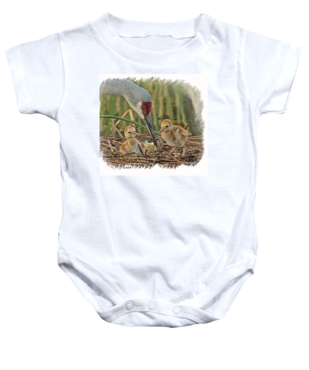Cranes Baby Onesie featuring the digital art Newly Arrived by Larry Linton