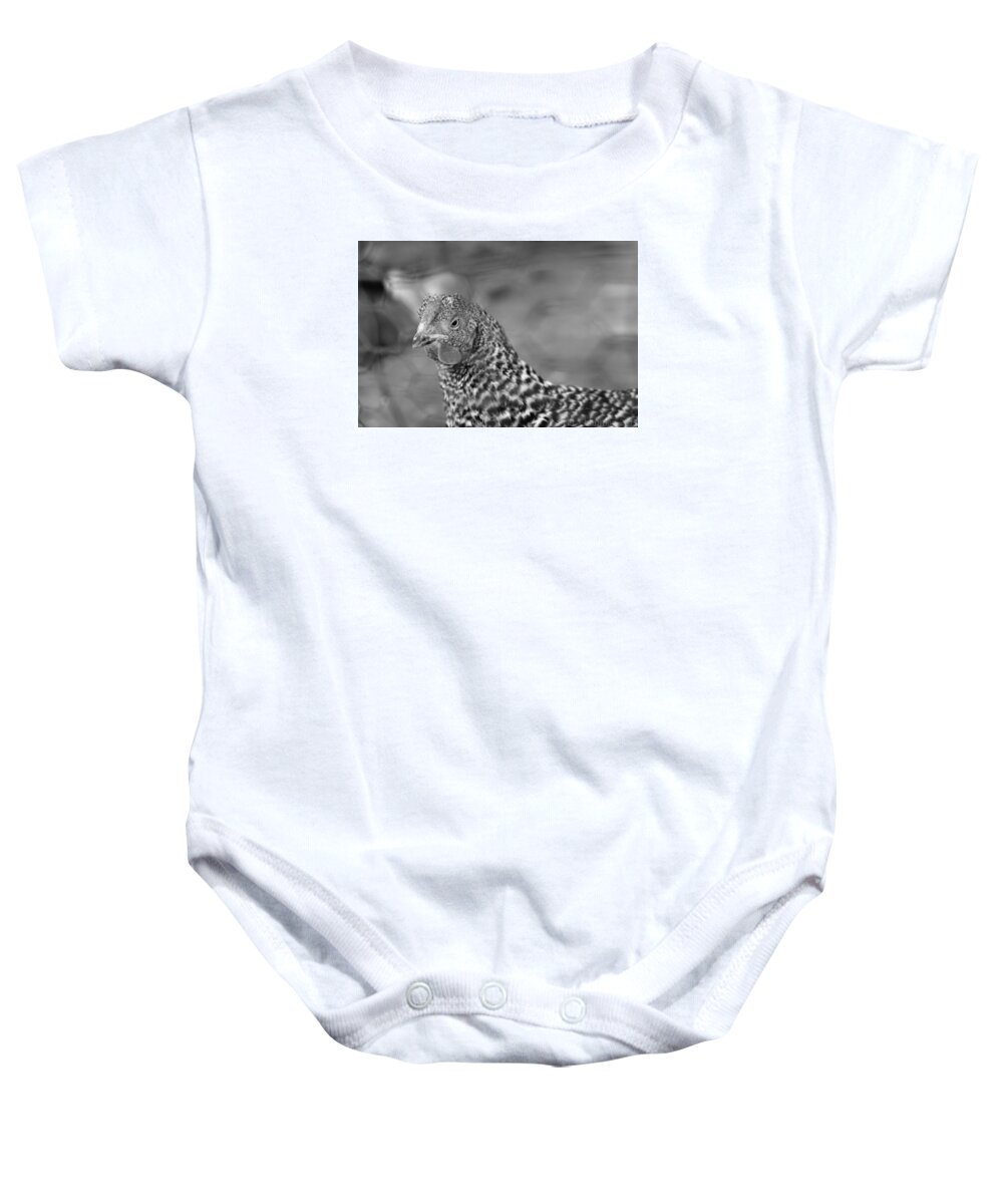 Bird Baby Onesie featuring the photograph Not your chicken dinner by Lora Lee Chapman