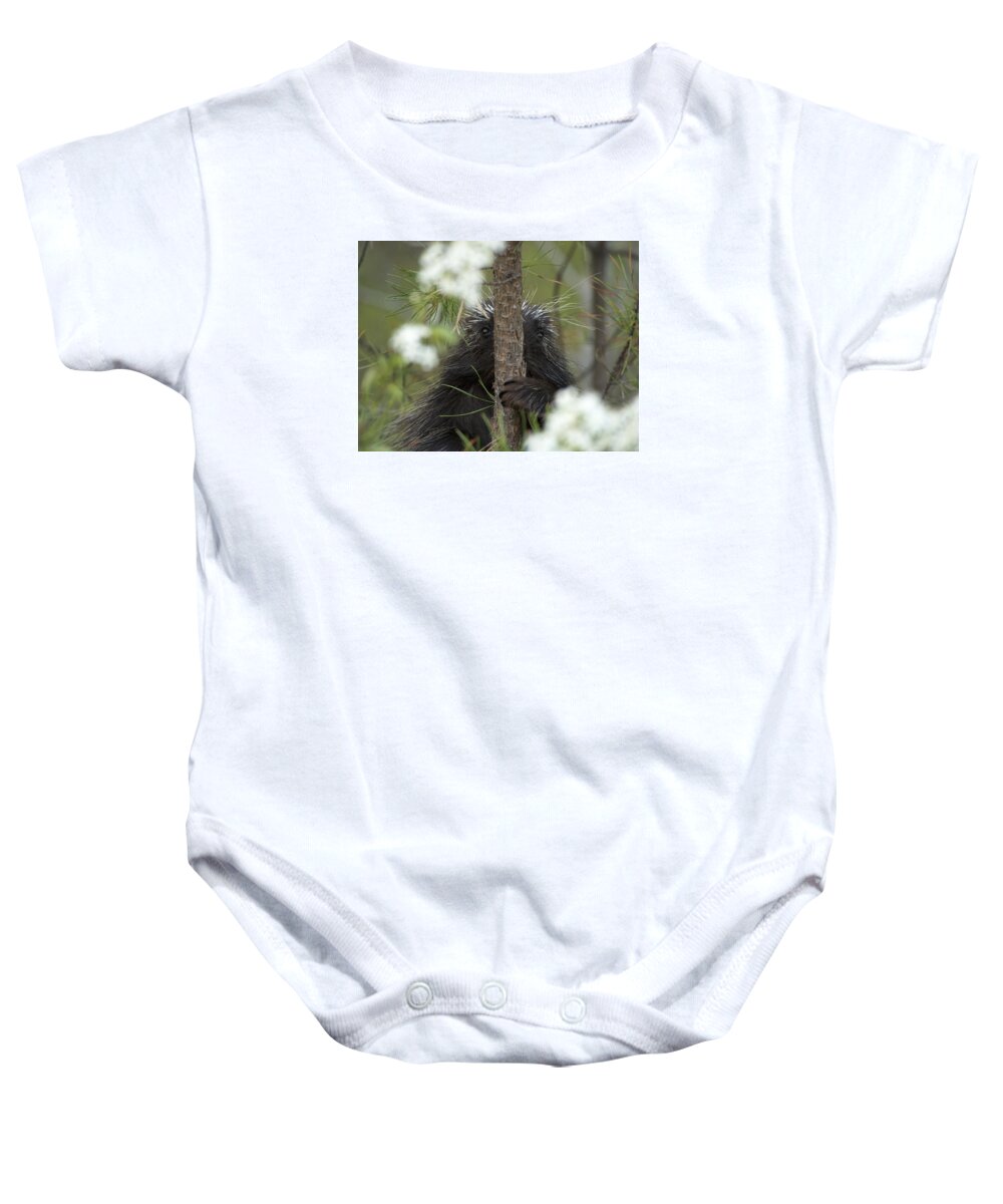 Kennebunk Plains Baby Onesie featuring the photograph Nowhere to Hide by Ian Johnson