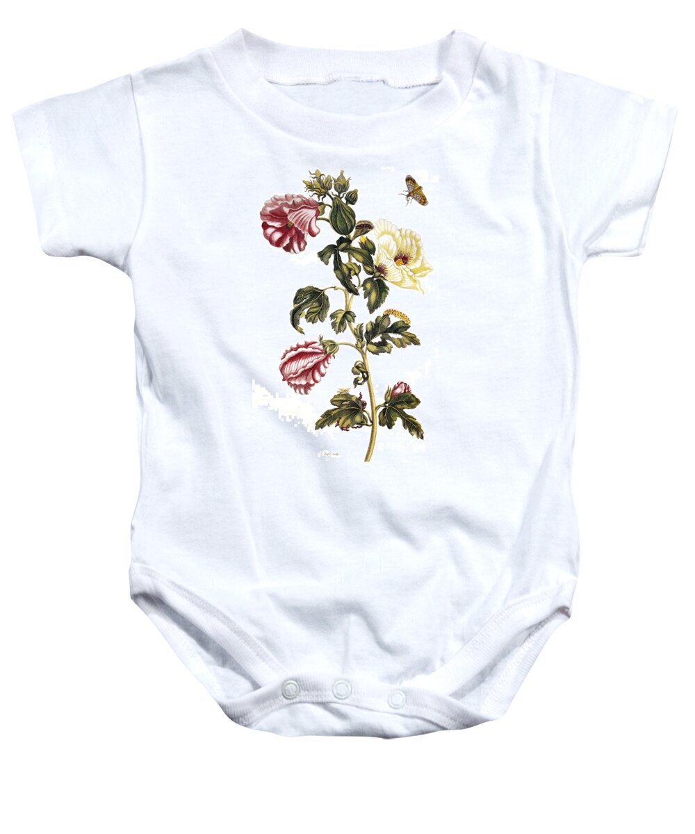 1705 Baby Onesie featuring the photograph Okra by Granger