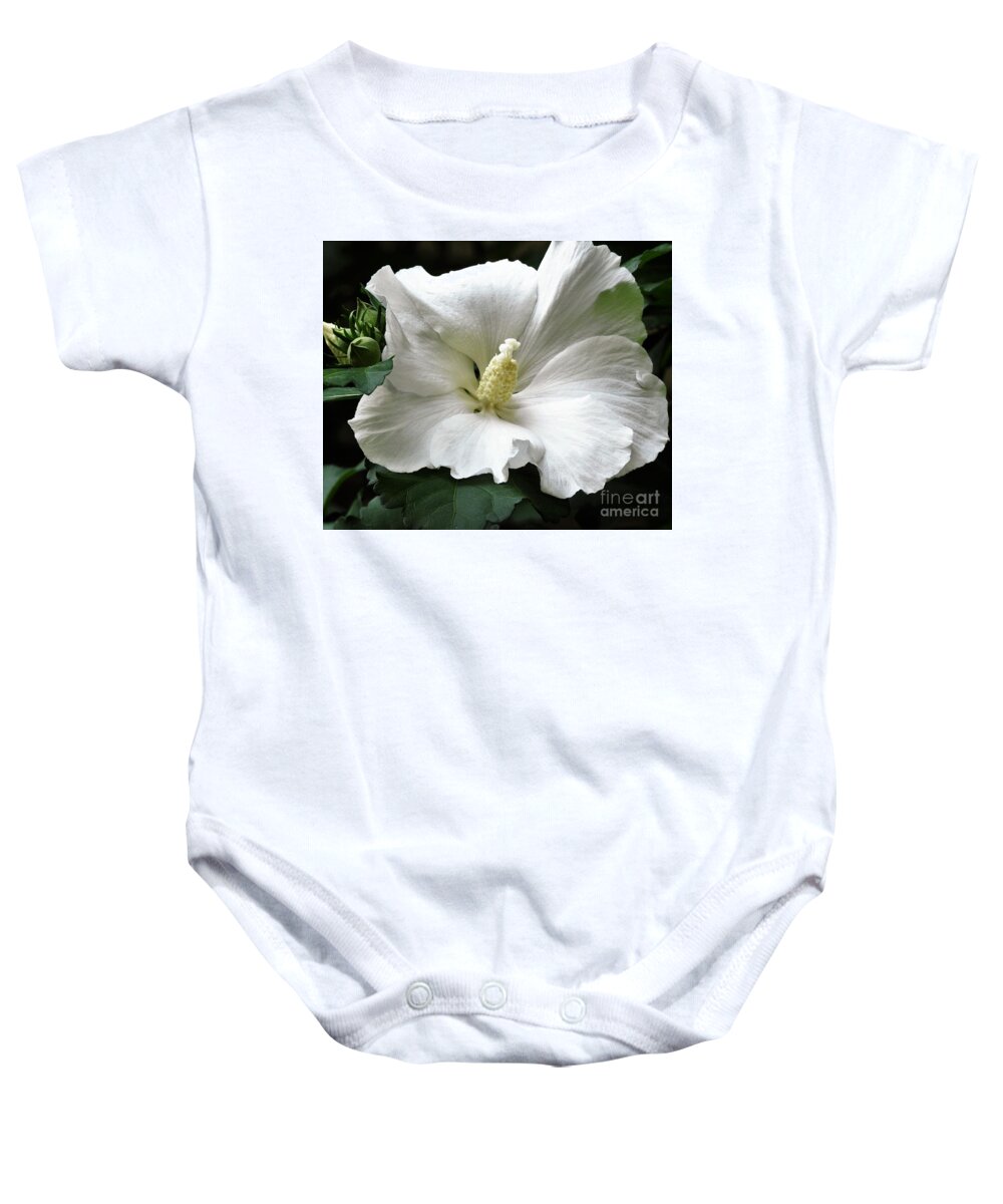 Flower Baby Onesie featuring the photograph Old Fashioned Flower by Jan Gelders