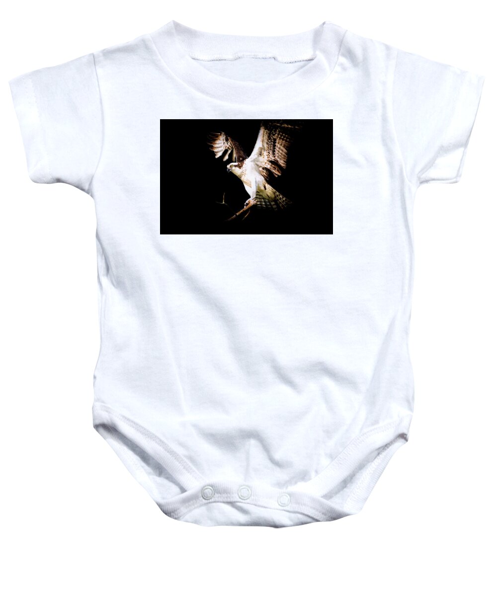 Crystal Yingling Baby Onesie featuring the photograph On Point by Ghostwinds Photography