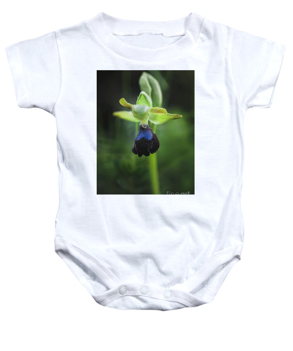 Ophrys Atlantica Baby Onesie featuring the photograph Ophrys Atlantica by Perry Van Munster