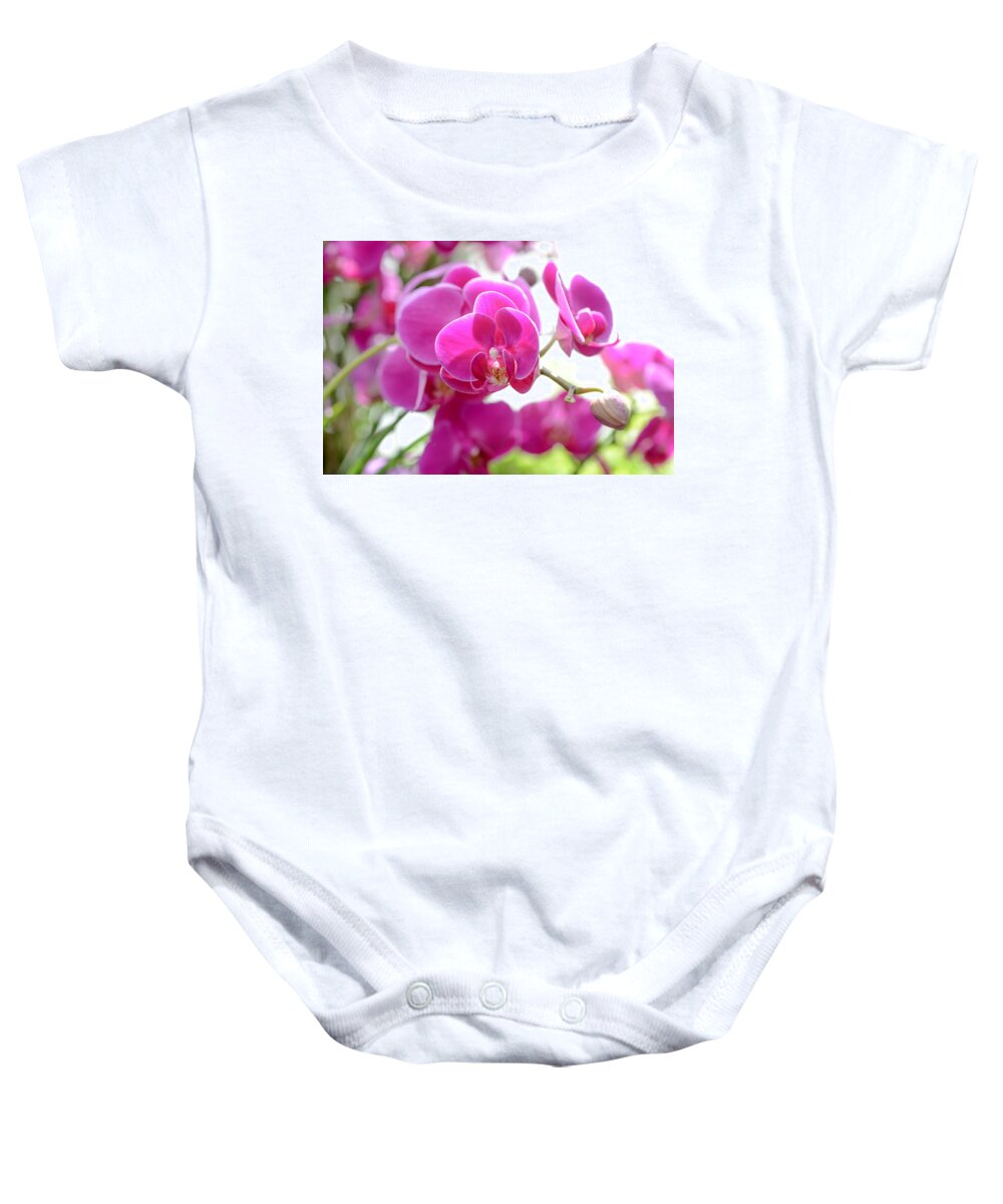 City Baby Onesie featuring the photograph Orchids by Ronda Broatch