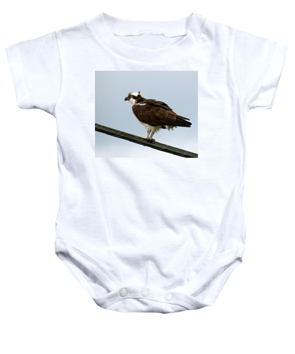 Bird Baby Onesie featuring the photograph Osprey by Azthet Photography
