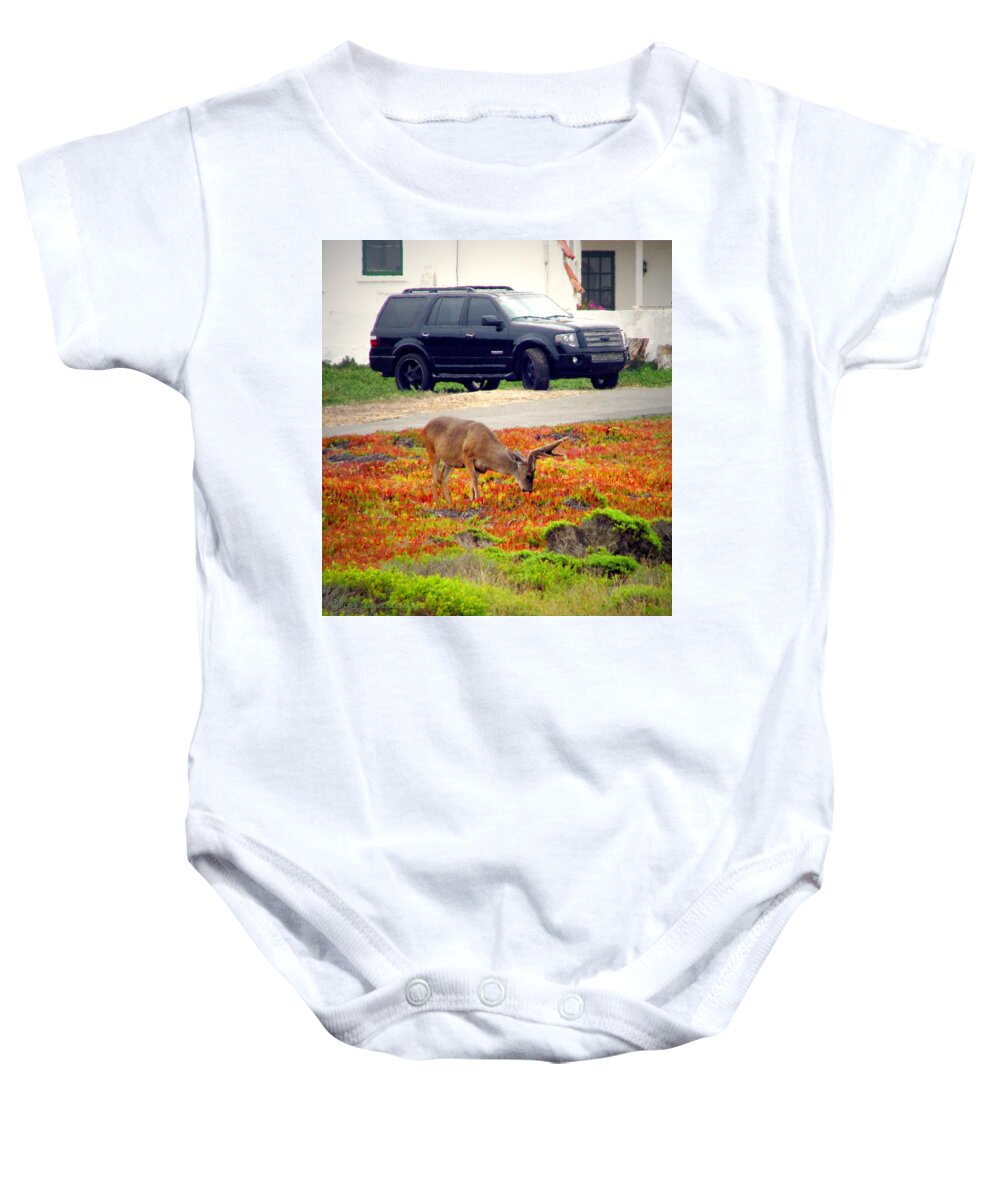 Deer Baby Onesie featuring the photograph Pacific Grove Deer In The Front Yard II by Joyce Dickens