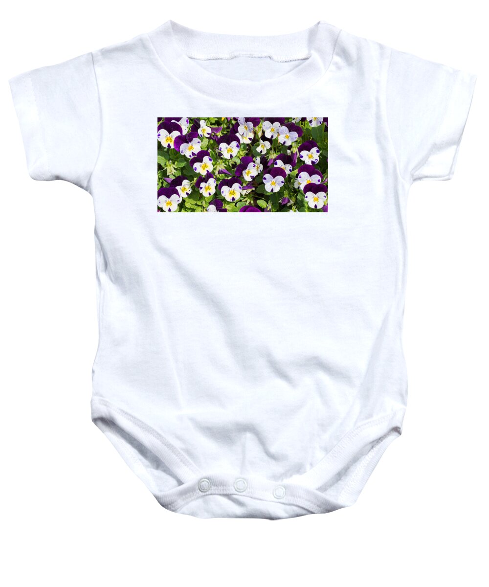 Nature Baby Onesie featuring the photograph Pansies 2 by Kenneth Albin