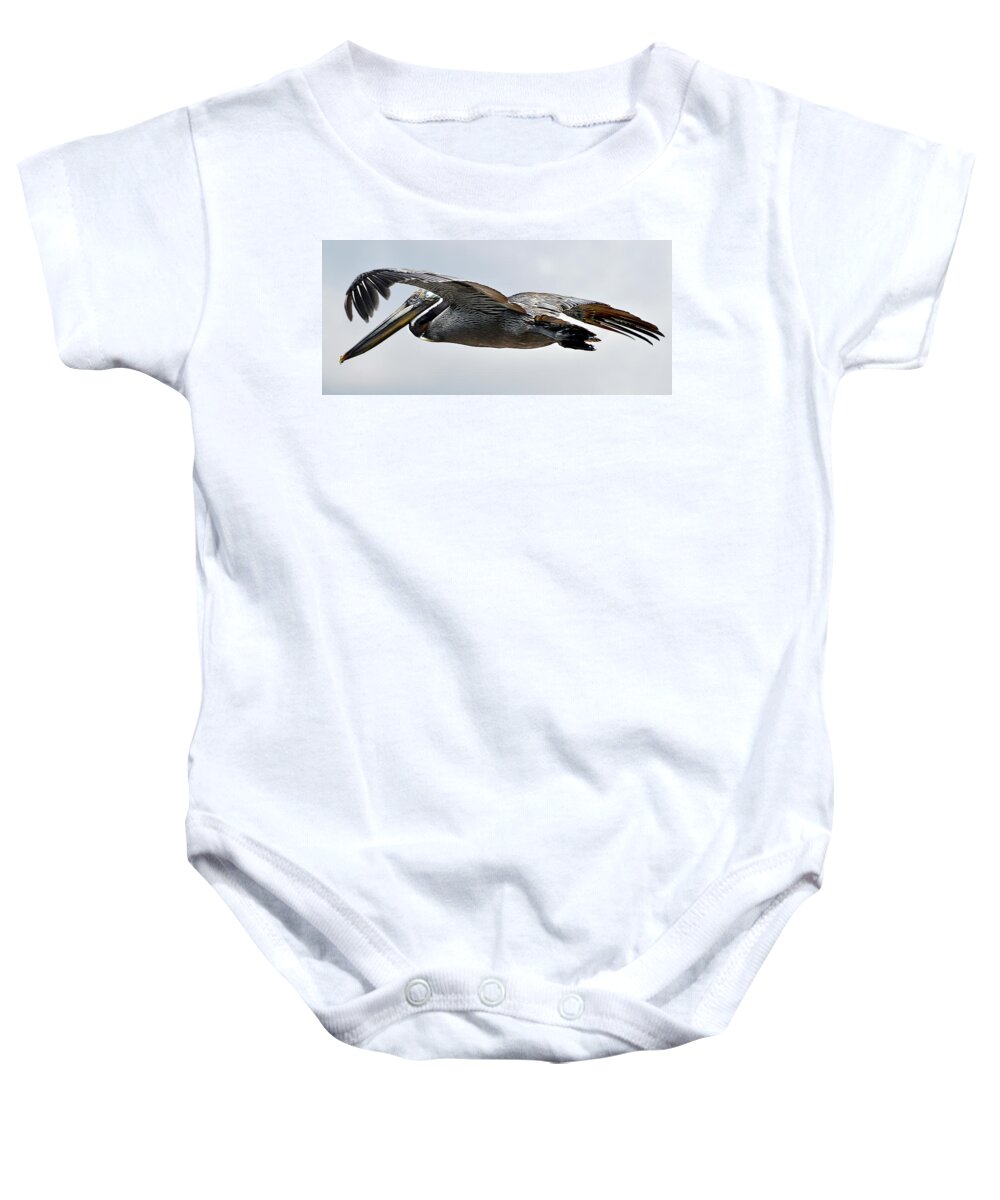 Pelican Baby Onesie featuring the photograph Pelican in Flight by WAZgriffin Digital
