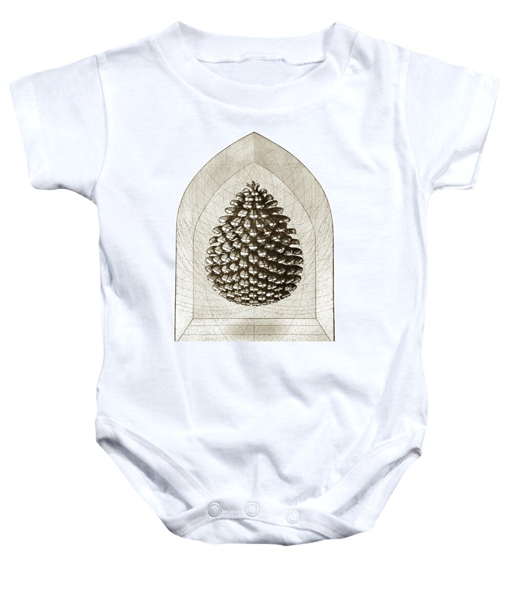 Charles Harden Baby Onesie featuring the drawing Pine Cone by Charles Harden