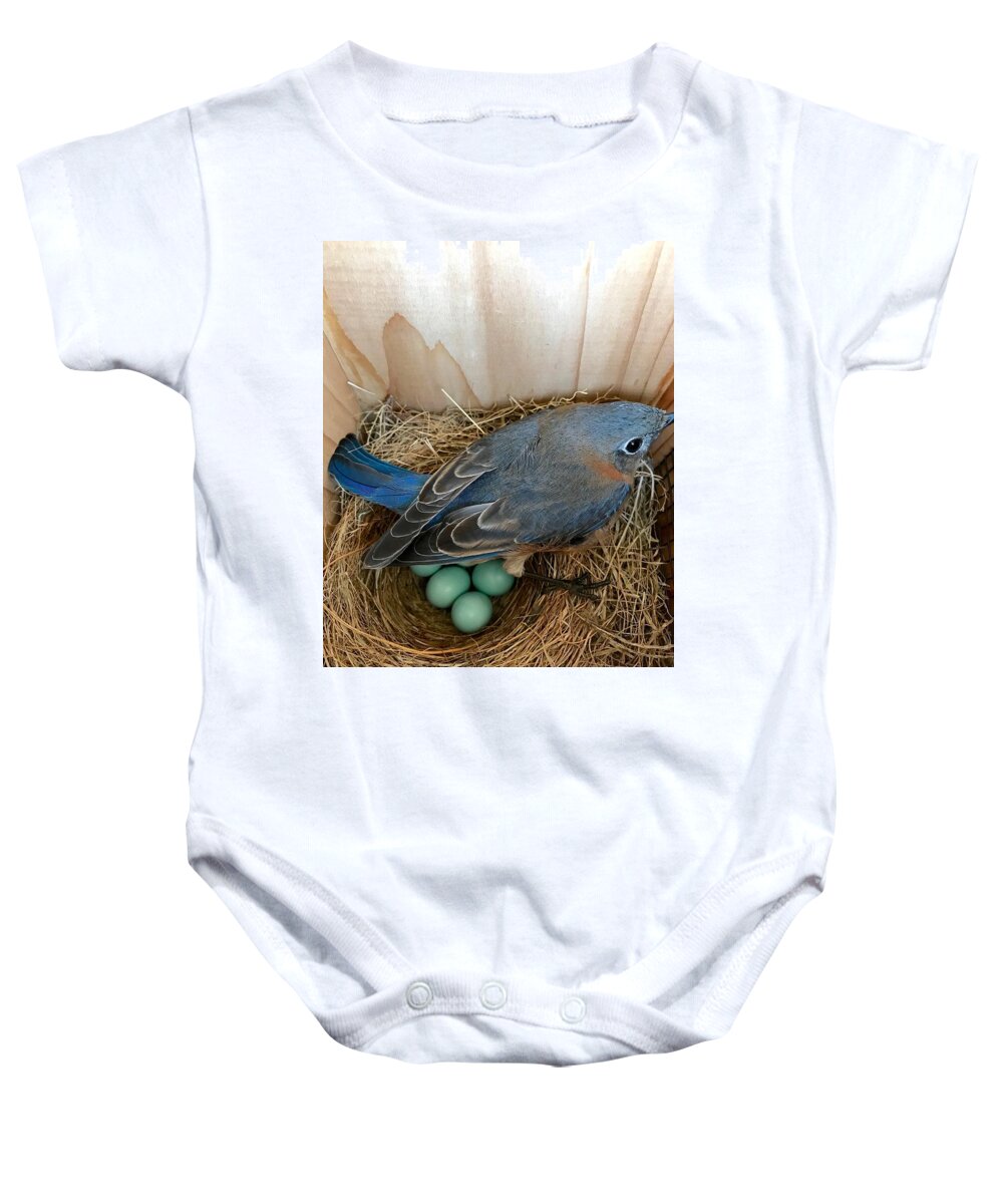 Bluebird Baby Onesie featuring the photograph Protected by Jackson Pearson