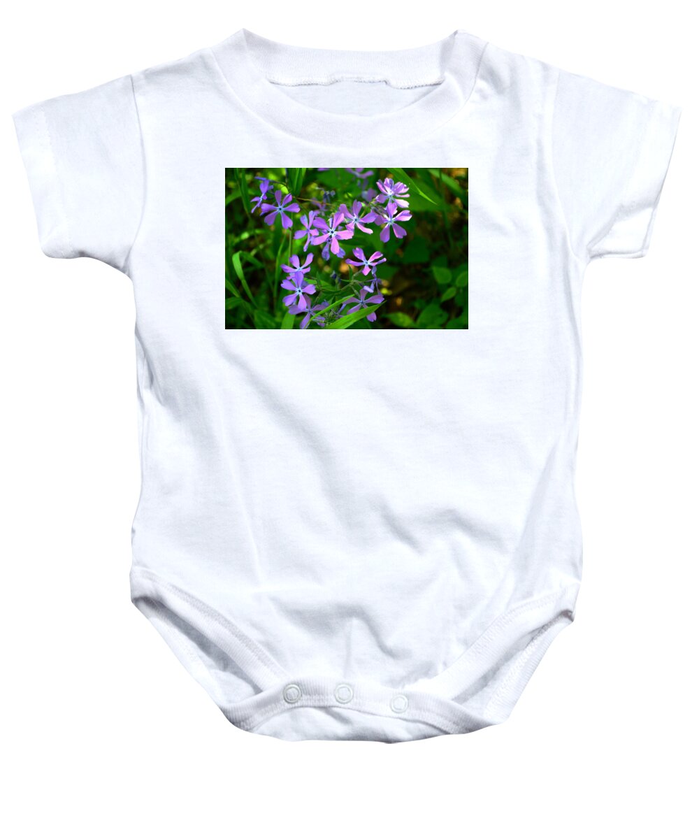 Phlox Baby Onesie featuring the photograph Purple Phlox in the Woods by Stacie Siemsen