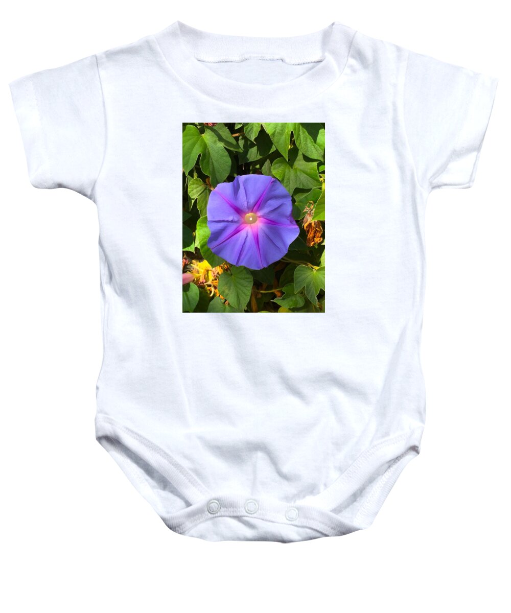 Fauna Baby Onesie featuring the photograph Purple Star by Brad Hodges