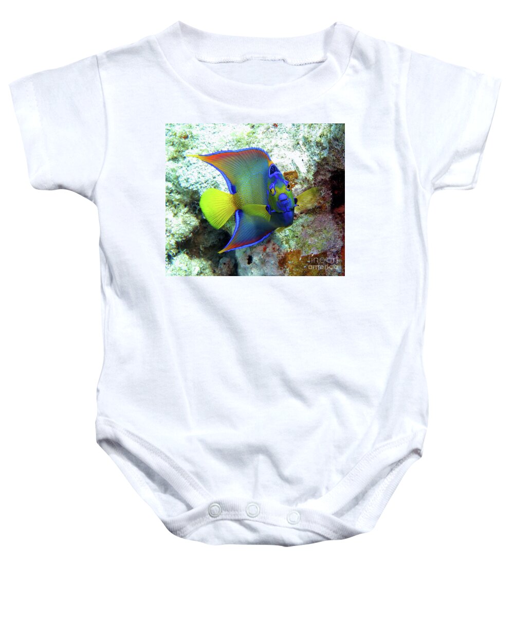 Underwater Baby Onesie featuring the photograph Queen Angelfish by Daryl Duda