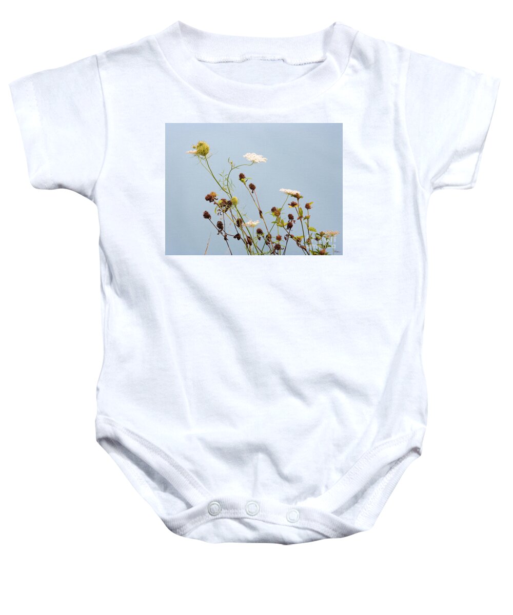 Lise Winne Baby Onesie featuring the photograph Queen Anne's Lace and Dried Clovers by Lise Winne