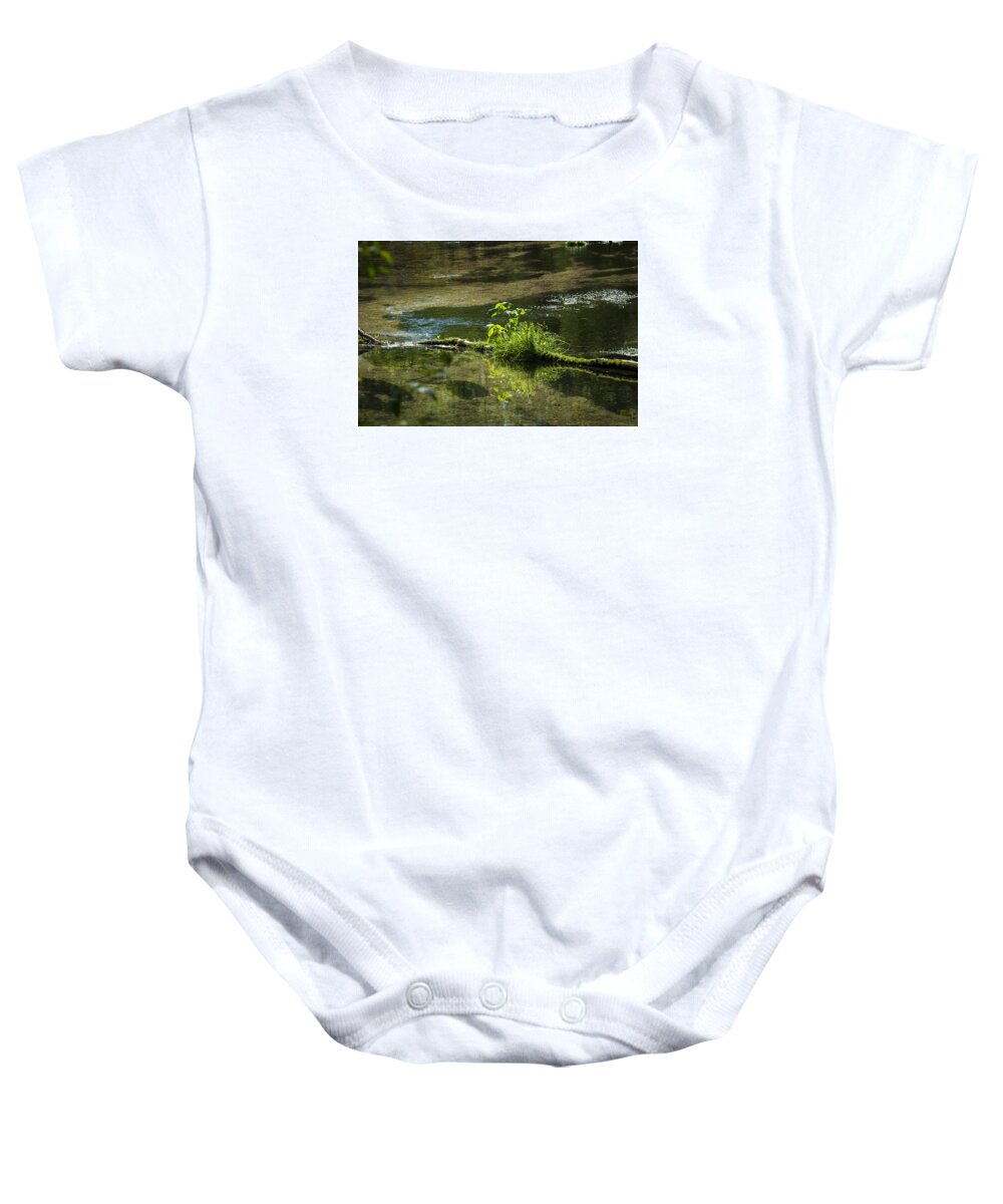 Color Image Baby Onesie featuring the photograph Quiet trout stream by Brian Green